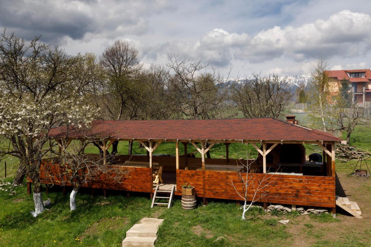 Transylvanian House Drumu Carului Esterno foto