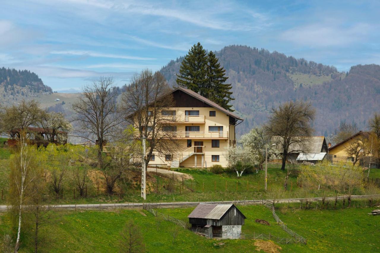 Transylvanian House Drumu Carului Esterno foto